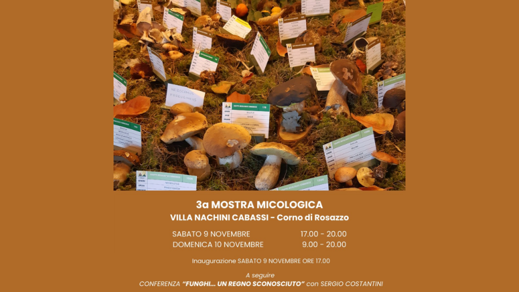 Locandina mostra micologica 2024 a Corno di Rosazzo.