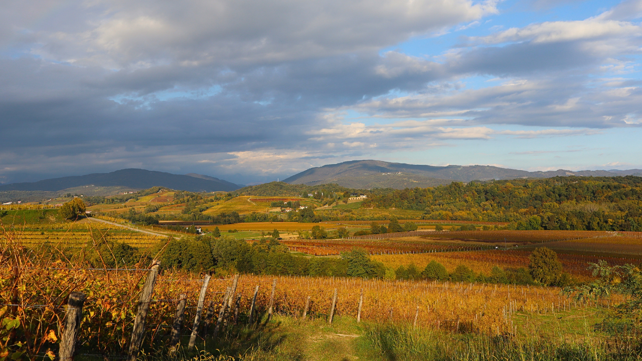 Panorama in autunno nei Colli Orientali del Friuli, con vigneti e colline gialle, arancioni e rosse.