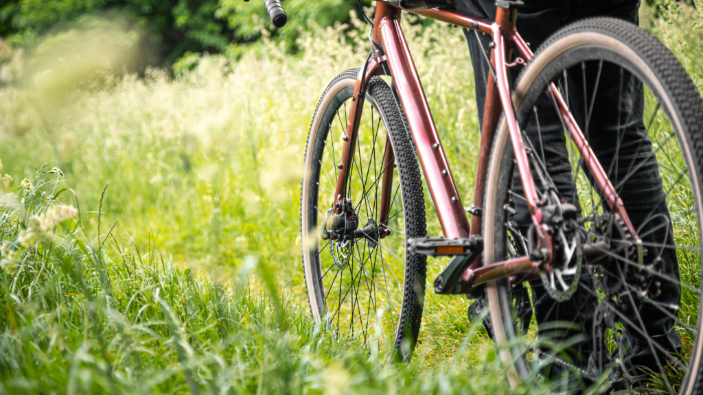 Dettaglio di una bicicletta a noleggio nella natura dei Colli Orientali, mezzo perfetto per vivere Cantine Aperte 2026 in FVG.