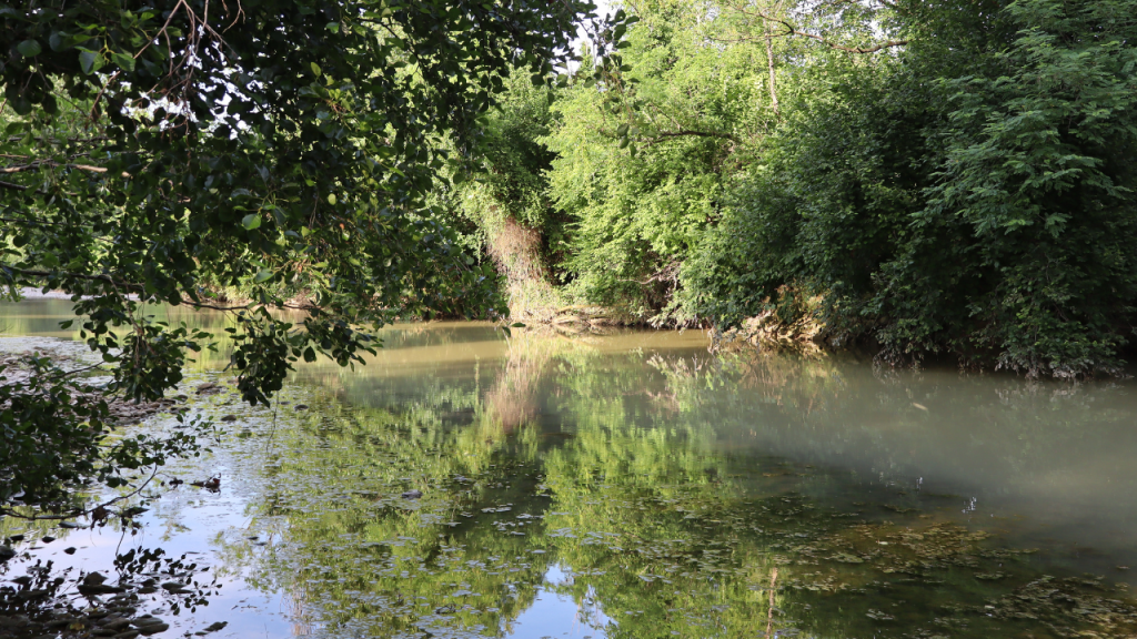 Foto di un tratto del Fiume Judrio, protagonista del festival Fluxjudri 2026.